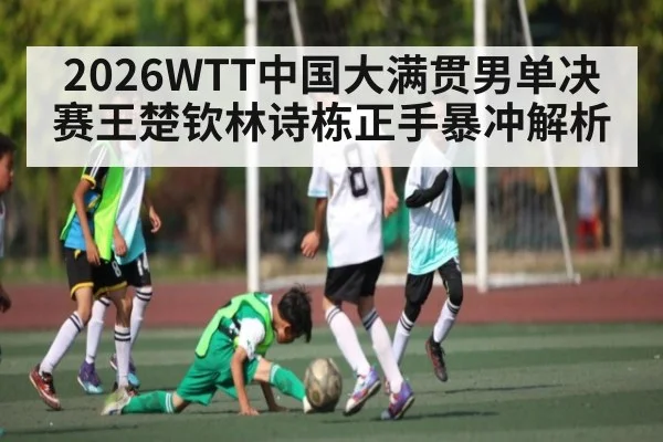 2026WTT中国大满贯男单决赛王楚钦林诗栋正手暴冲解析